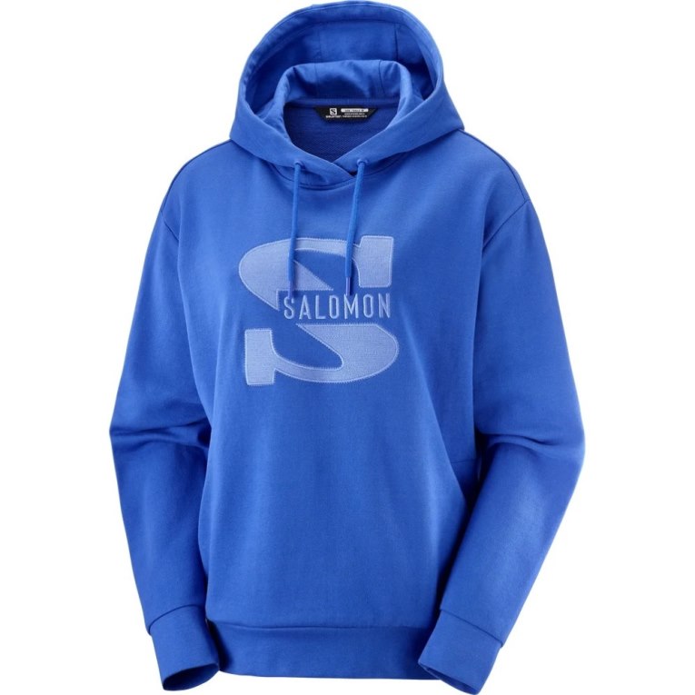 Blue Salomon Outlife Logo Summer Women's Sweatshirt | PH 89754K